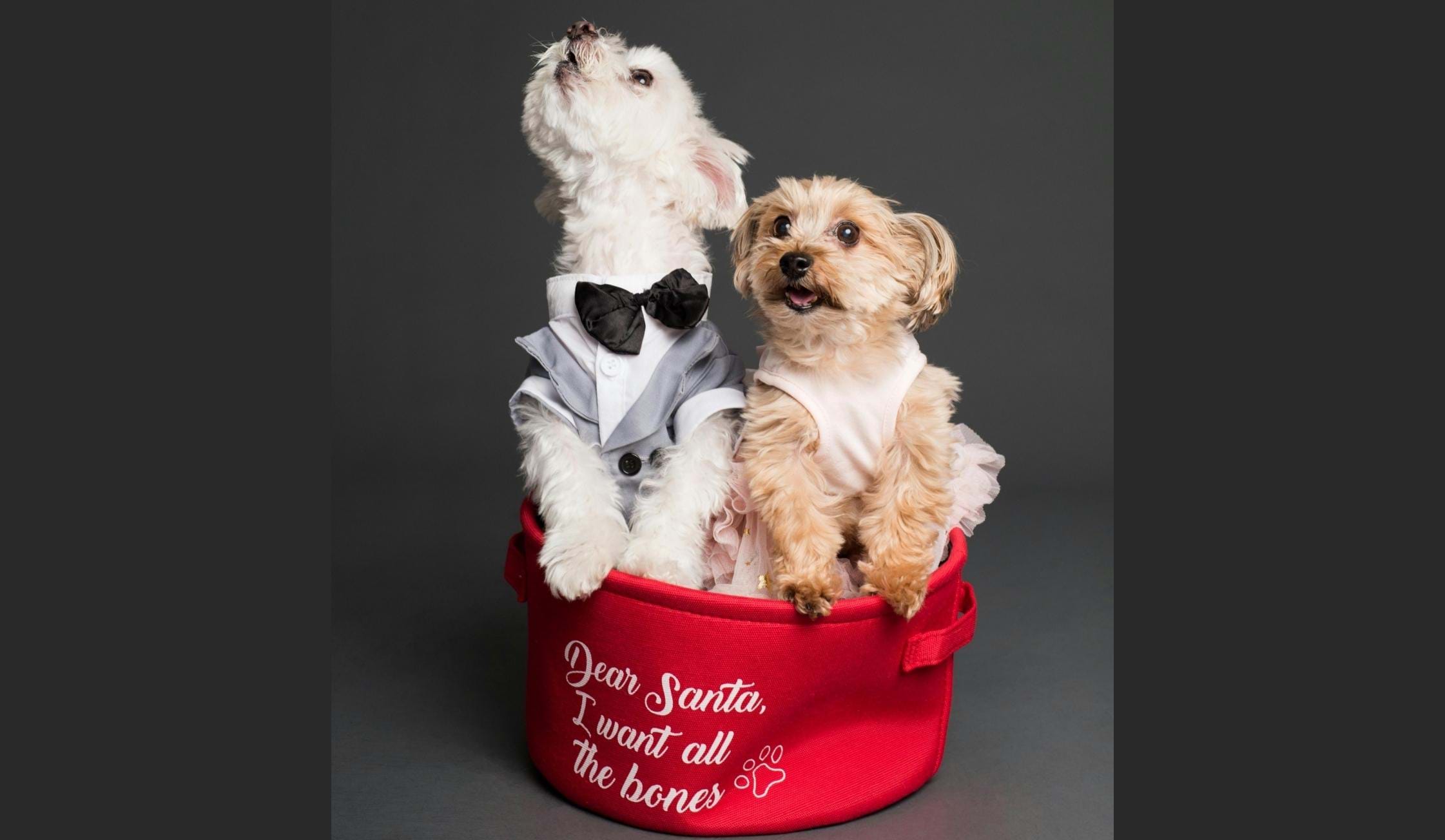 BLUE ROUTE MALL CHARITREE