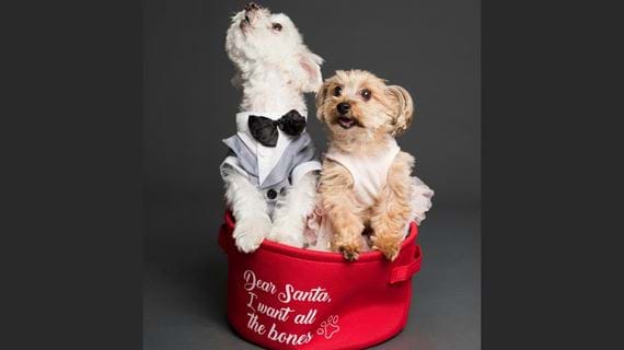 BLUE ROUTE MALL CHARITREE